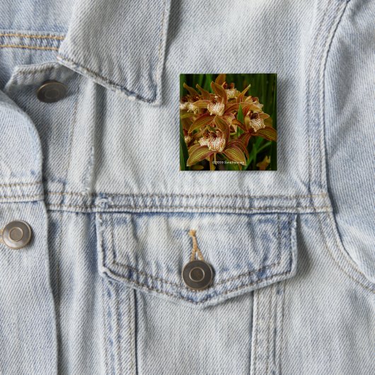 Badge Carré 5 Cm Tracyanum de Cymbidium (En situation)