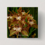 Badge Carré 5 Cm Tracyanum de Cymbidium (Devant)