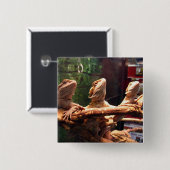 Badge Carré 5 Cm Trio de Leezard (Devant & derrière)