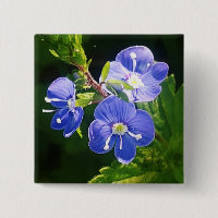 Trois fleurs bleues