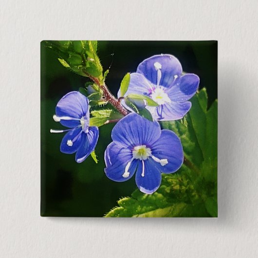 Badge Carré 5 Cm Trois fleurs bleues (Devant)