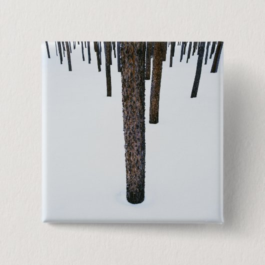 Badge Carré 5 Cm Troncs d'arbre dans la neige (Devant)