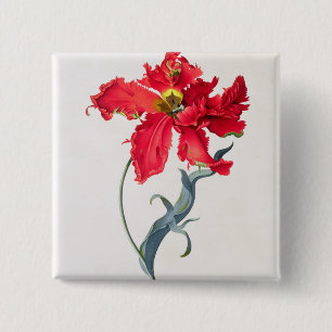 Badge Carré 5 Cm Tulipe : Fard à joues de Perroquet