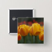 Badge Carré 5 Cm Tulipes 2 (Devant & derrière)