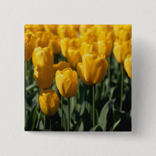 Badge Carré 5 Cm Tulipes 3