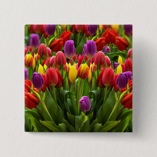 Badge Carré 5 Cm Tulipes lumineuses (Devant)