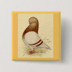 Badge Carré 5 Cm Tumbler Pigeon: LFCL Mealy