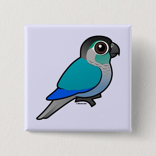 Badge Carré 5 Cm Turquoise Conure Vert-cheeked (Devant)