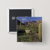 Badge Carré 5 Cm U.S.A., Arizona, Organ Pipe National Monument. (Devant & derrière)