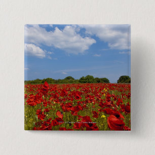 Badge Carré 5 Cm Un champ complètement des fleurs rouges