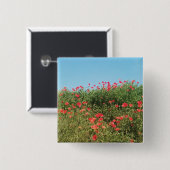 Badge Carré 5 Cm Un champ de fleurs de pavot (Devant & derrière)