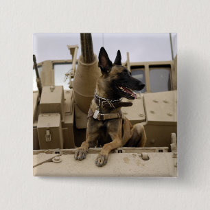 Badge Carré 5 Cm Un chien d'utilité militaire se repose sur un M2A