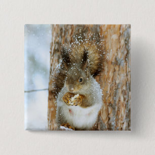 Badge Carré 5 Cm Un écureuil mignon dans un paysage hivernal
