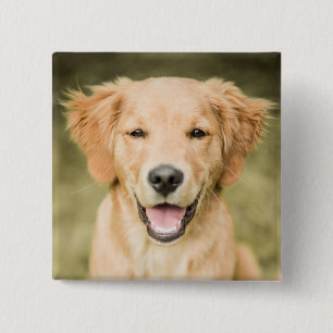Badge Carré 5 Cm Un portrait d'un chiot de golden retriever