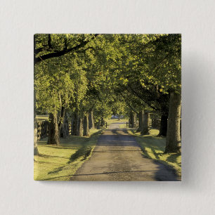 Badge Carré 5 Cm USA, Kentucky, Lexington. allée bordée d'arbres,