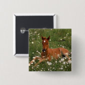 Badge Carré 5 Cm USA, Oregon, Arabian Pony. (Devant & derrière)