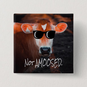Badge Carré 5 Cm Vache avec lunettes de soleil pas amusée mignonne