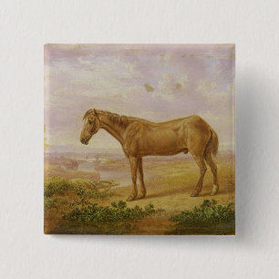 Badge Carré 5 Cm Vieux Billy, un cheval de trait, âgé 62 (huile s