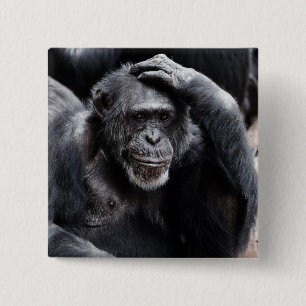 Badge Carré 5 Cm Vieux bouton Chimpanzé