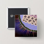 Badge Carré 5 Cm Virus Herpes (Devant & derrière)