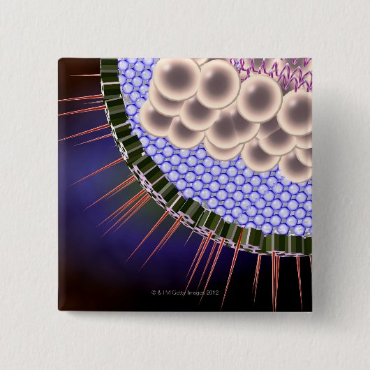 Badge Carré 5 Cm Virus Herpes (Devant)