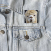 Badge Carré 5 Cm Visage d'alpaca mignon (En situation)