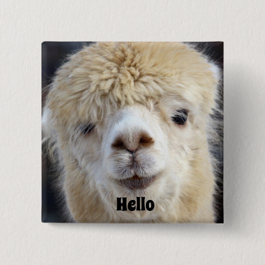 Badge Carré 5 Cm Visage d'alpaca mignon (Devant)