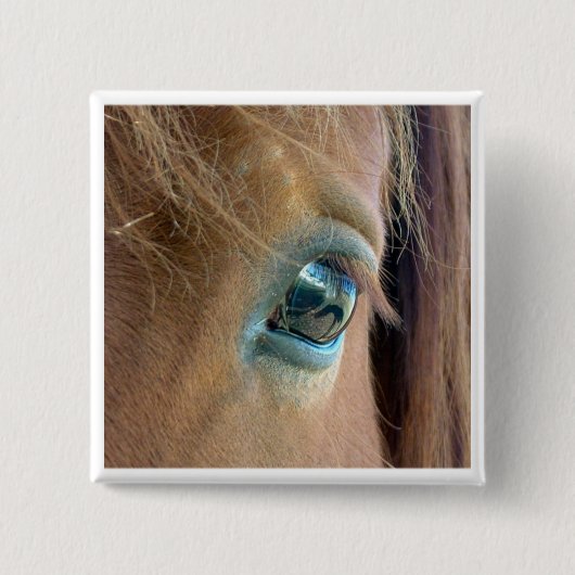 Badge Carré 5 Cm Vision de cheval (Devant)