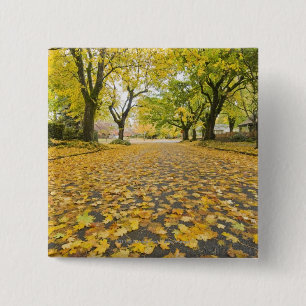 Badge Carré 5 Cm Voisinage d'Eastmoreland en automne