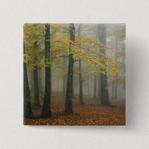 Badge Carré 5 Cm Vue automnale d'une forêt brumeuse, Grandfather 3