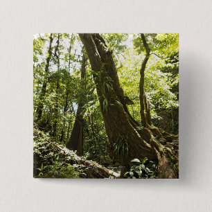 Badge Carré 5 Cm vue de forêt tropicale, Dominique