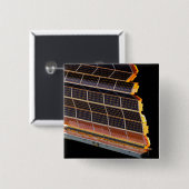 Badge Carré 5 Cm Vue rapprochée des baies solaires (Devant & derrière)