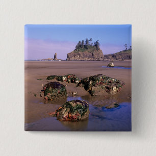 Badge Carré 5 Cm WA, Olympic NP, Second Beach avec piscines et