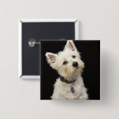 Badge Carré 5 Cm Westie (West Highland terrier) avec col (Devant & derrière)
