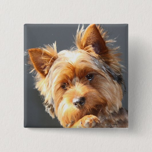 Badge Carré 5 Cm yorkie (Devant)