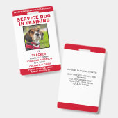 Badge Carte d'identité de chien d'assistance en formatio (Avant & arrière)