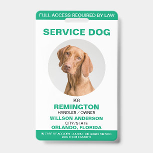 Badge Carte d'identité verte personnalisée pour chien d'