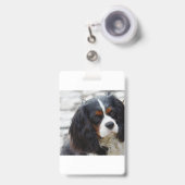 Badge cav 2 (Avant avec rétractable)