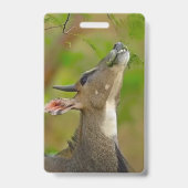 Badge Cerf personnalisé (Arrière)