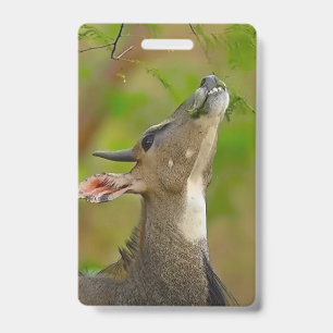 Badge Cerf personnalisé