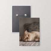 Badge Chat, Animal De Compagnie, Kitten (Recto/Verso)
