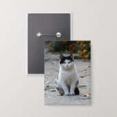 Badge Chat, Blanc, Animaux (Recto/Verso)