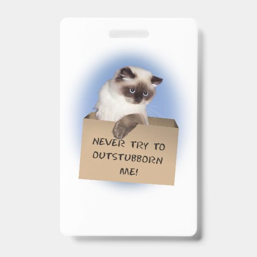 Badge Chat dans une boîte (Avant)