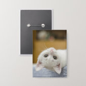 Badge Chaton, Blanc, Chat (Recto/Verso)