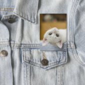 Badge Chaton, Blanc, Chat (Insitu)