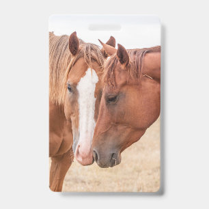 Badge Chevaux étourdissant dans un pâturage