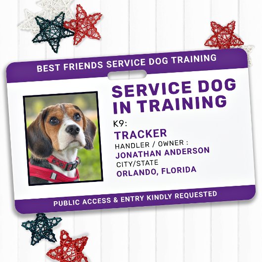 Badge Chien d'Assistance en Formation Carte d'Identifica