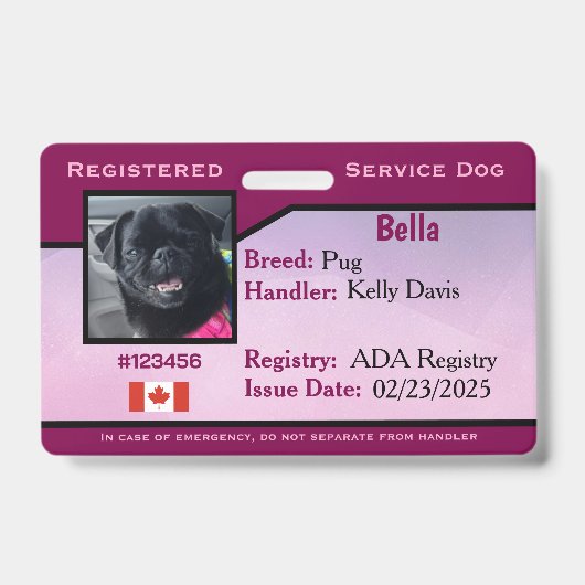 Badge Chien d'assistance Horizontal Violet (Avant)