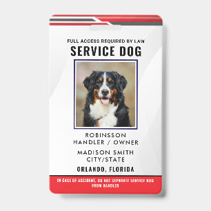 Badge Chien d'assistance personnalisé