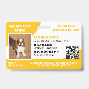 Badge Chien de service blanc jaune ID photo QR Code